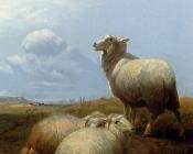 Sheep At Pasture - 托马斯·辛德尼·库珀